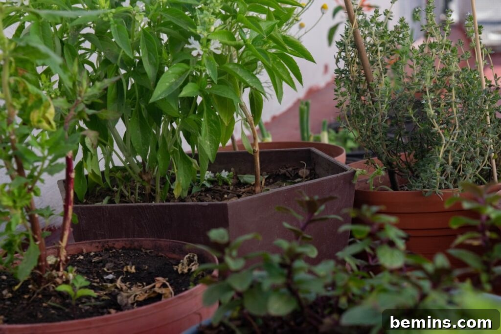 Composting 101: Your Guide to Green Living 2 Plants in pots