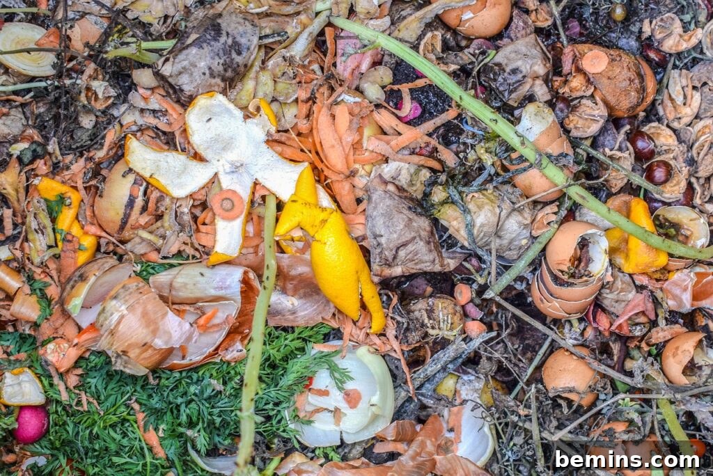 Composting 101: Your Guide to Green Living 12 Materials for compost