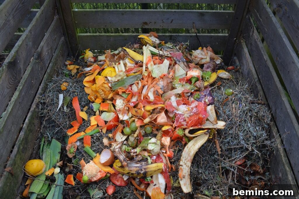 Composting 101: Your Guide to Green Living 13 Layering compost materials