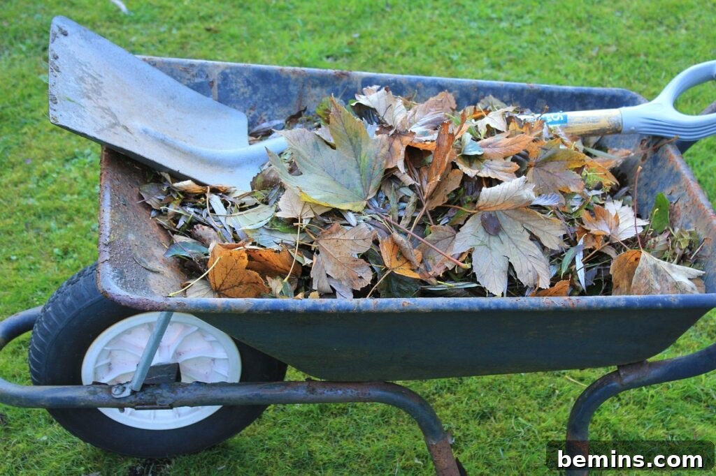 Composting 101: Your Guide to Green Living 14 Gardening tools