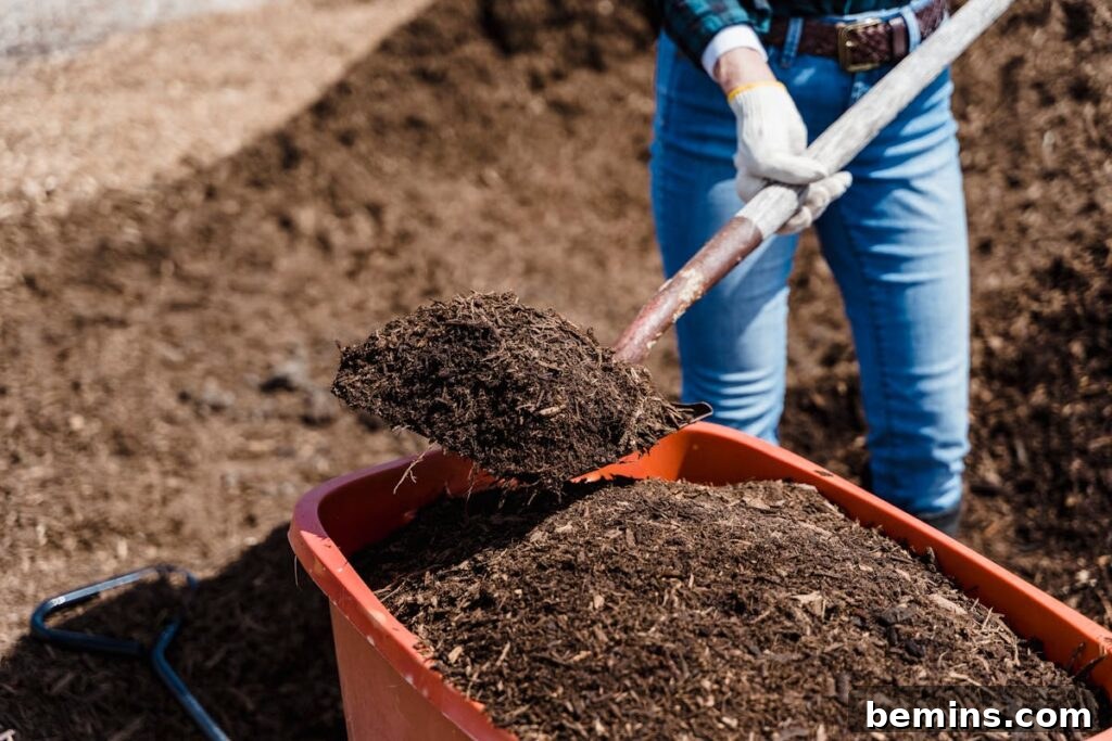 Composting 101: Your Guide to Green Living 15 Finished compost