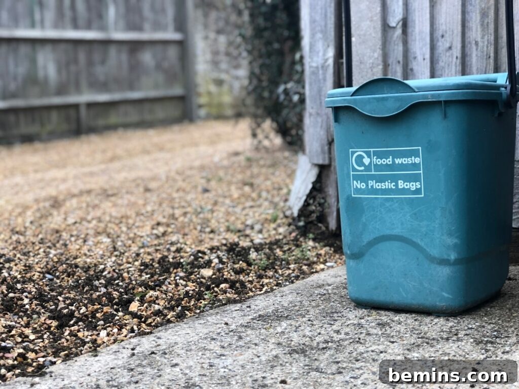 Composting 101: Your Guide to Green Living 17 Compost bin location
