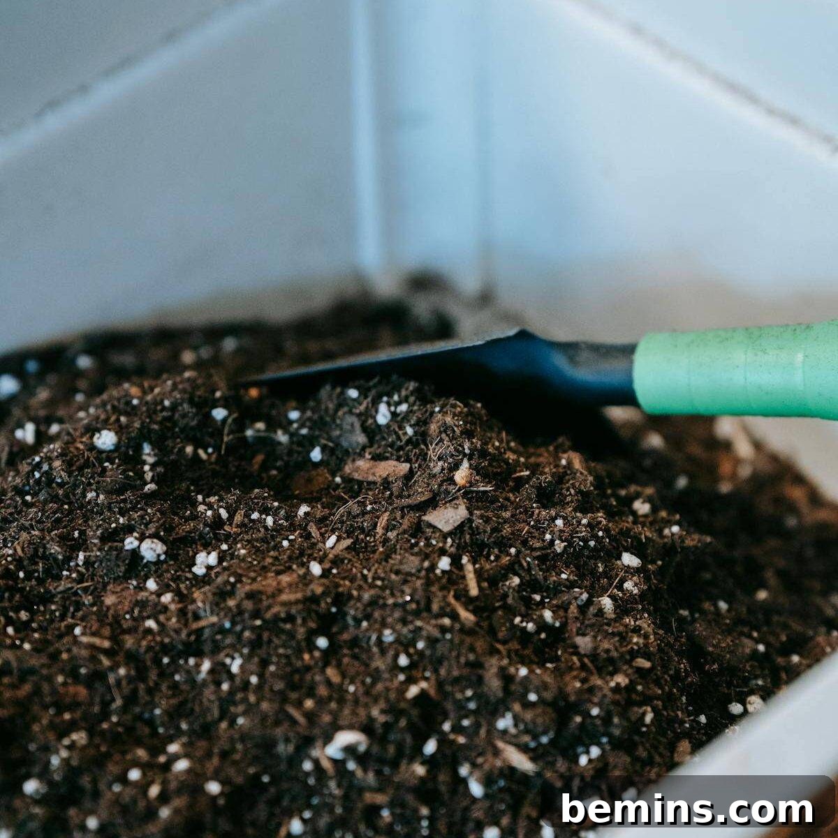 Composting 101: Your Guide to Green Living 20 Compost in garden