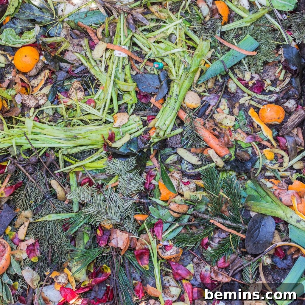 Composting 101: Your Guide to Green Living 21 Compost materials