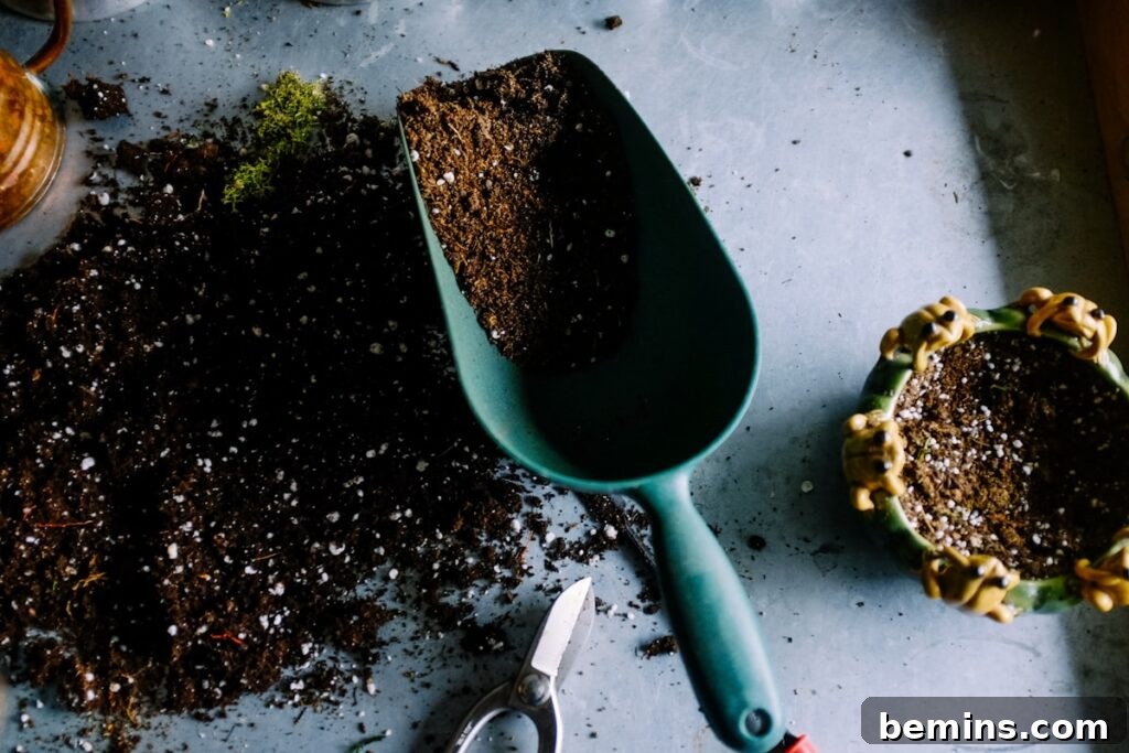 Composting 101: Your Guide to Green Living 5 Shovel full of soil