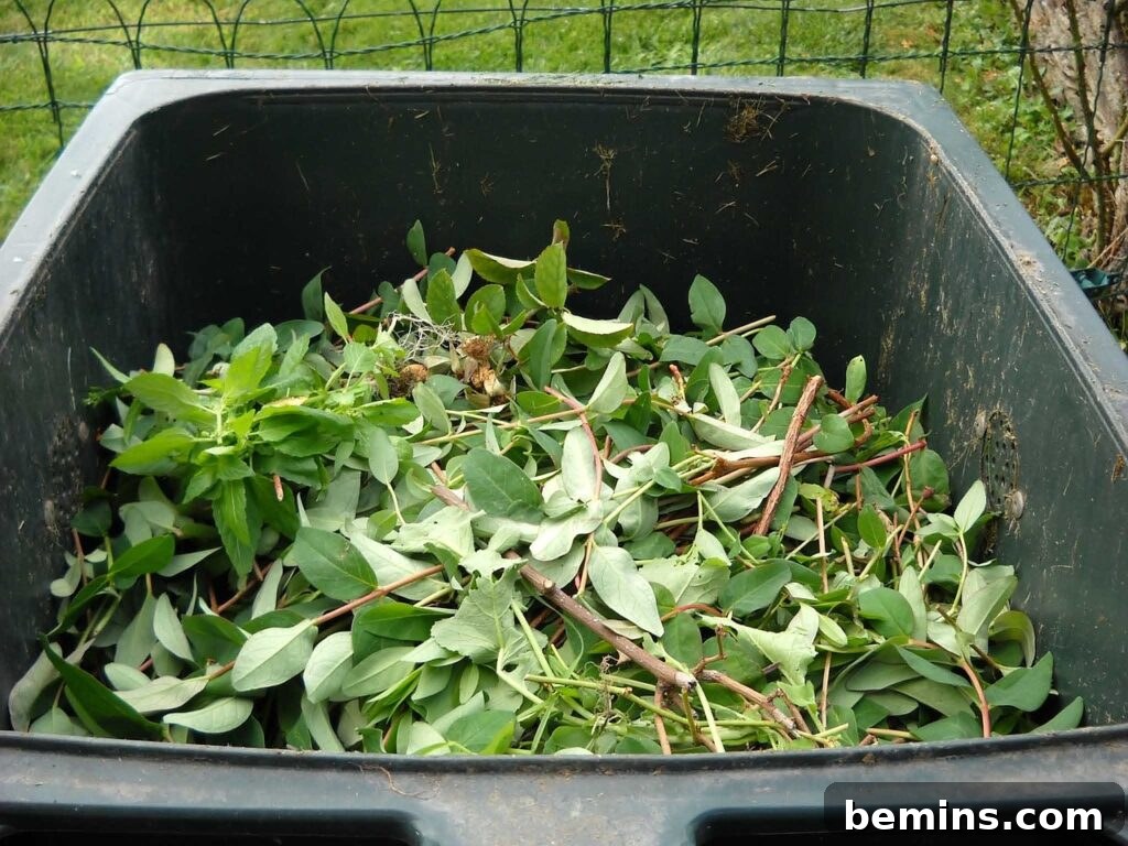 Composting 101: Your Guide to Green Living 7 Backyard compost pile