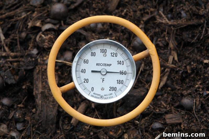 Composting 101: Your Guide to Green Living 10 Thermometer in compost