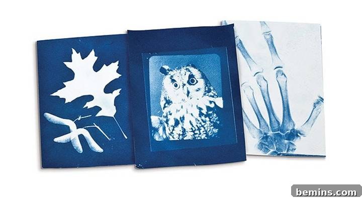 Solar Photography Kit