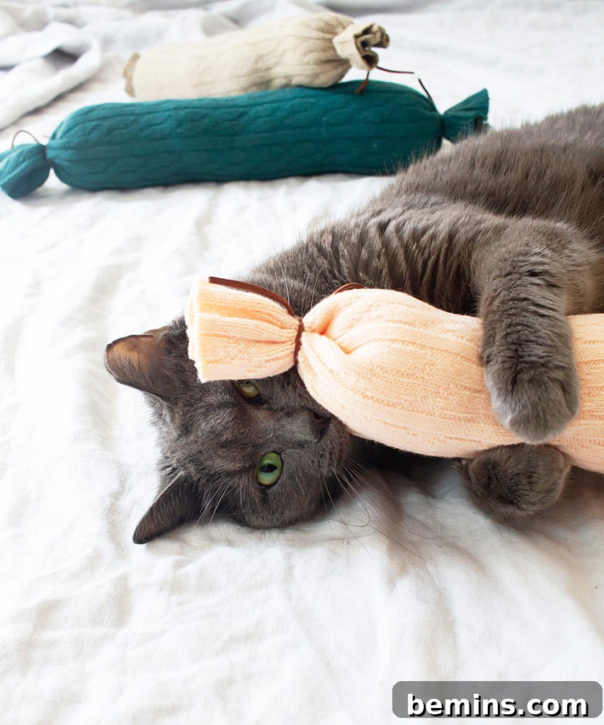 Easy DIY Catnip Stick Toys