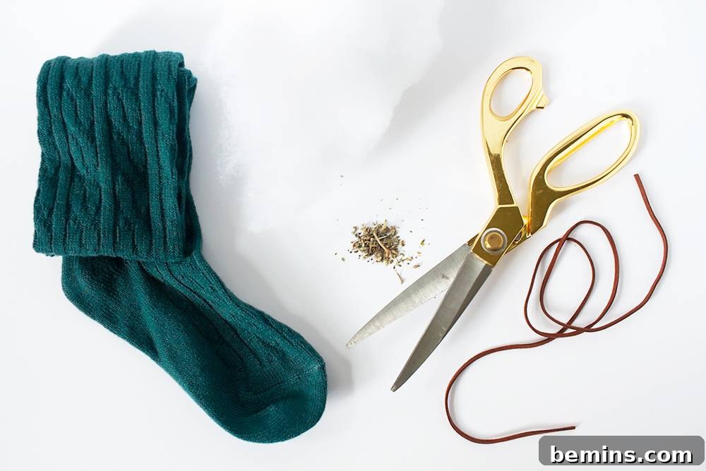 Materials for Making a Catnip Sock Toy