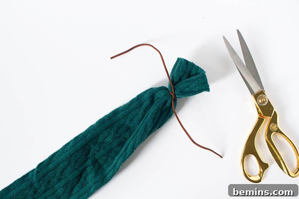 Making a Catnip Sock Toy