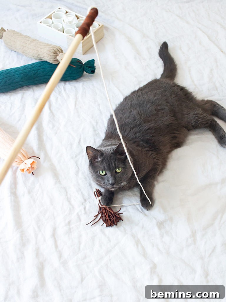 A finished DIY cat wand toy, showcasing the wooden handle and leather tassel.