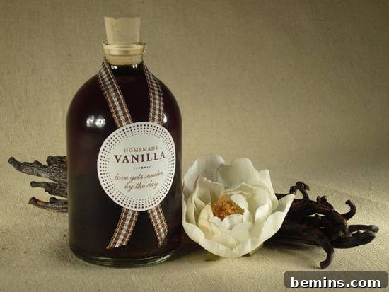 Homemade Vanilla Extract Homemade Gift