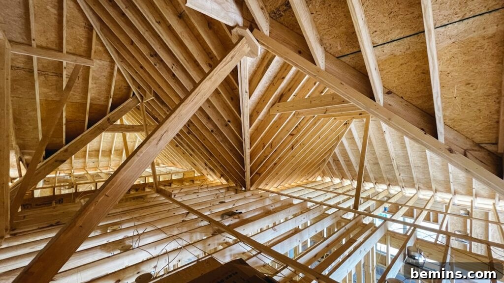 Attic insulation