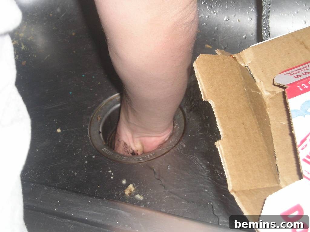 Manually Unjamming a Garbage Disposal