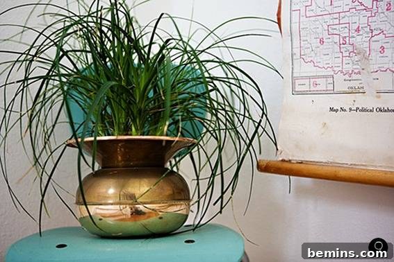 Gilded Creations: 10 Stunning DIY Metallic Vases & Planters 10 DIY Copper Bud Vase Designs and Ideas