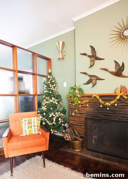 Christmas Under the Sun: A Southern Hemisphere Holiday 5 Aloe Vera Christmas Tree