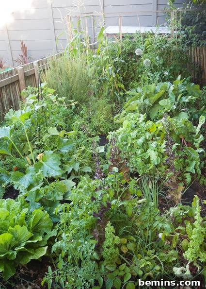 Christmas Under the Sun: A Southern Hemisphere Holiday 7 Homegrown Vegetables for Christmas Dinner