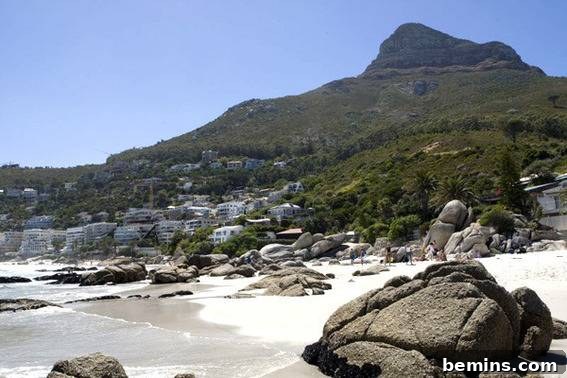 Christmas Under the Sun: A Southern Hemisphere Holiday 9 Cape Town Beach Scene