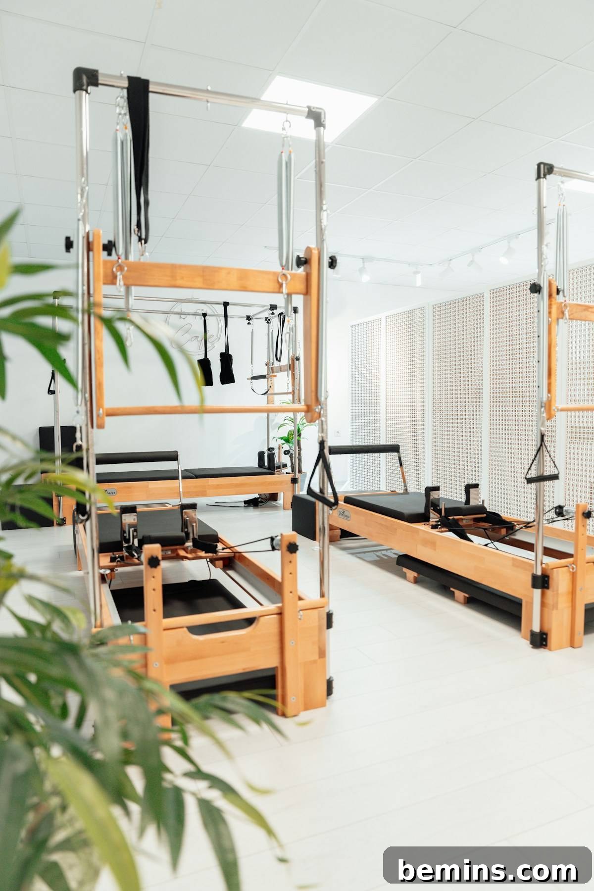 Elevate Your Workout Space: Inspiring Home Gym Designs 17 a room filled with lots of machines and a plant