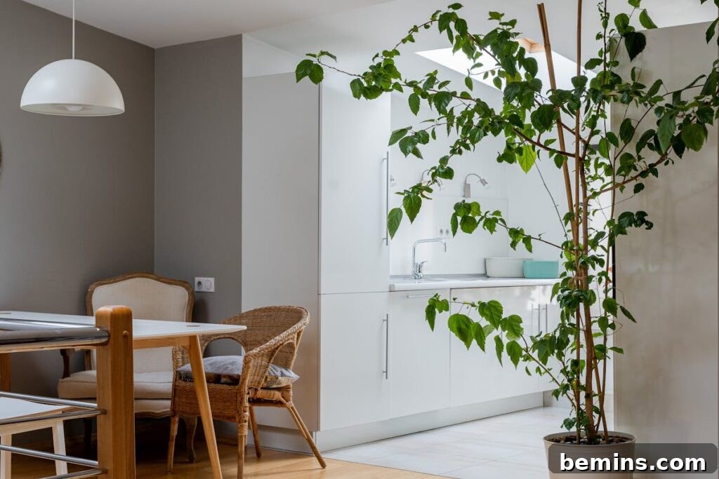 Bright kitchen with contemporary furniture and a potted plant, exuding a serene natural feel.