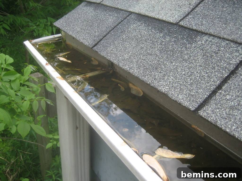 Cleaning clogs from home gutters