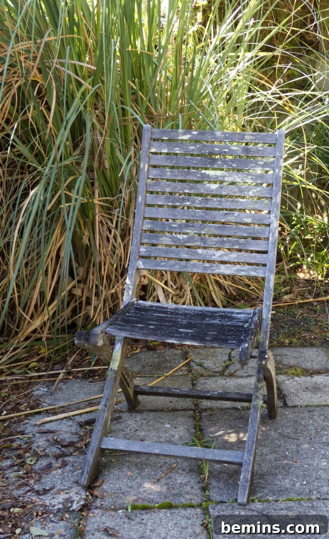 Preparing Your Garden for a Blooming Spring 4 Bushes and shrubs spring clean up - Pruning shrubs to promote healthy growth