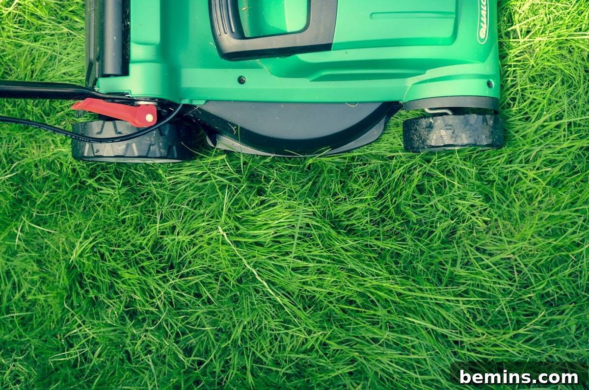Preparing Your Garden for a Blooming Spring 5 Preparing lawn for spring - Aerating and fertilizing the lawn for healthy growth