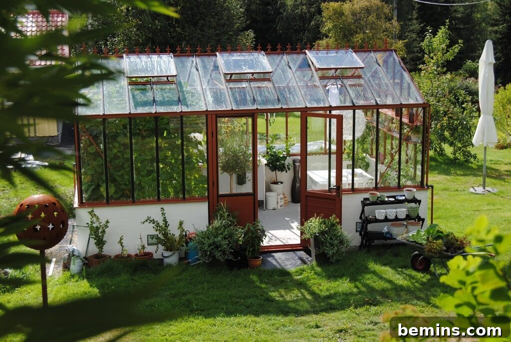 Greenhouse shed combo with plants inside