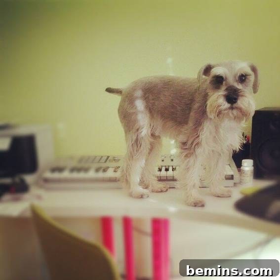 Wrigley Caught in the Act
