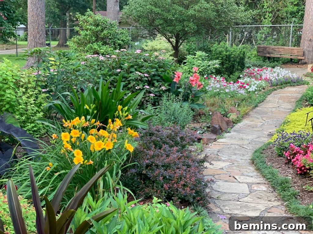 Yellow and red flower garden
