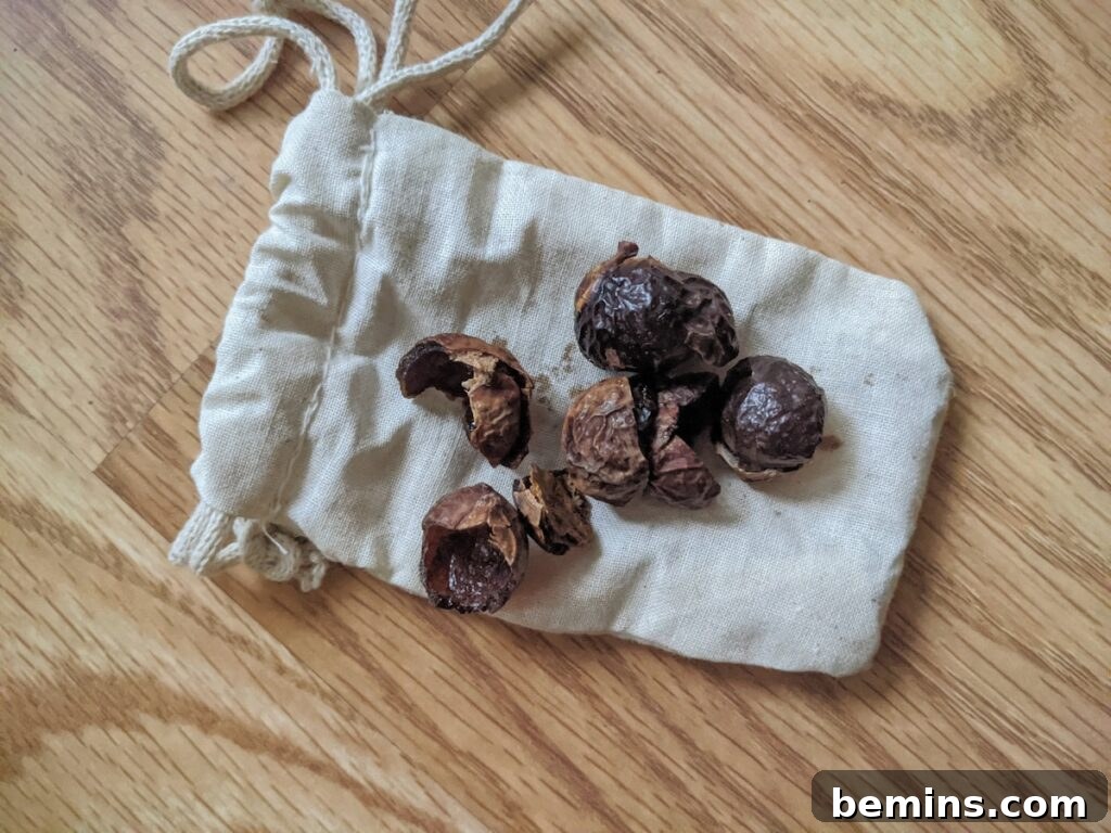 Sustainable, Eco-Friendly Alternatives to Dryer Sheets 10 Soap nuts displayed on a white cloth, emphasizing their natural origin.
