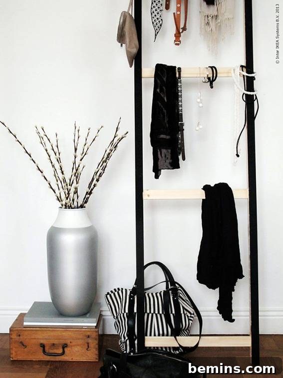 DIY Ladder Accessories and Coat Stand