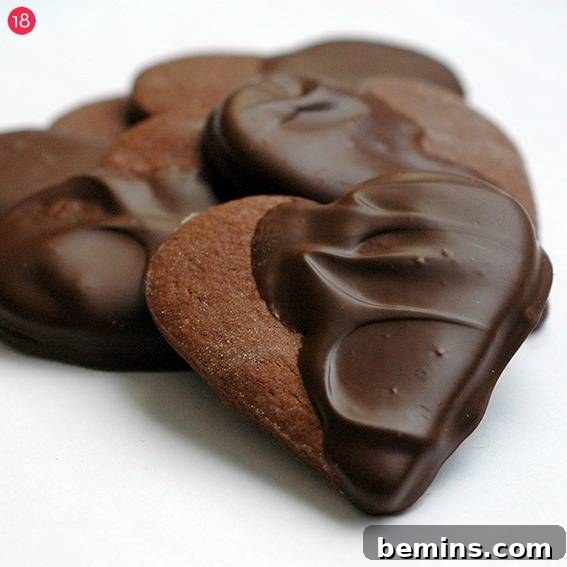 Chocolate Cinnamon Cookies