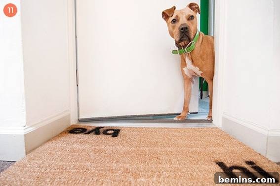 Creative Doormats: 12 DIY Welcome Projects 11 DIY Doormat Projects for Beginners