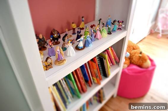 Ayla's bookshelf, filled with books and Disney character figurines.