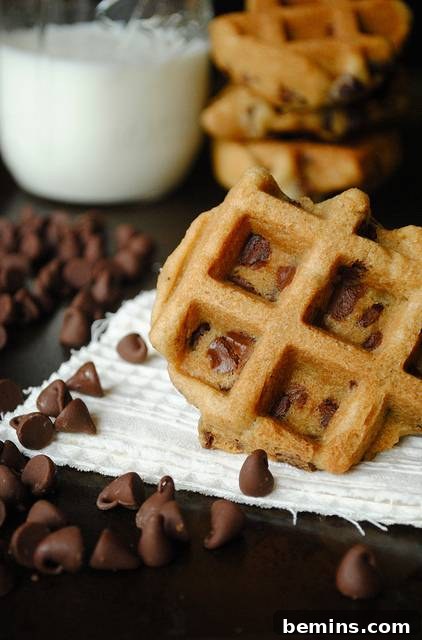 Beyond Waffles: 15+ Unexpected Uses for Your Waffle Iron 4 Chocolate Chip Waffle Cookies