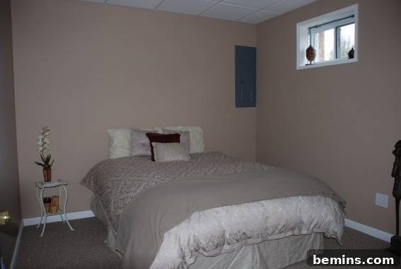 Before: Basement Bedroom with Small Windows