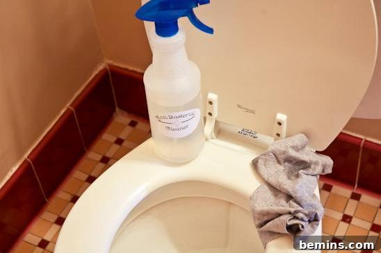Cleaning a toilet bowl