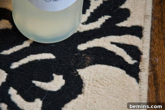 Spraying carpet with all-purpose cleaner