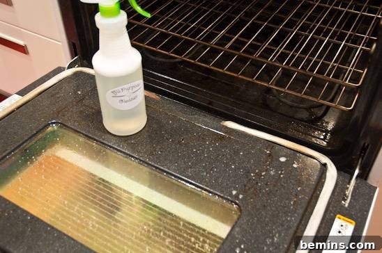 Spraying the oven with all-purpose cleaner