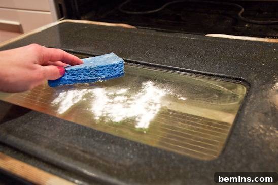Sprinkling baking soda on a greasy oven