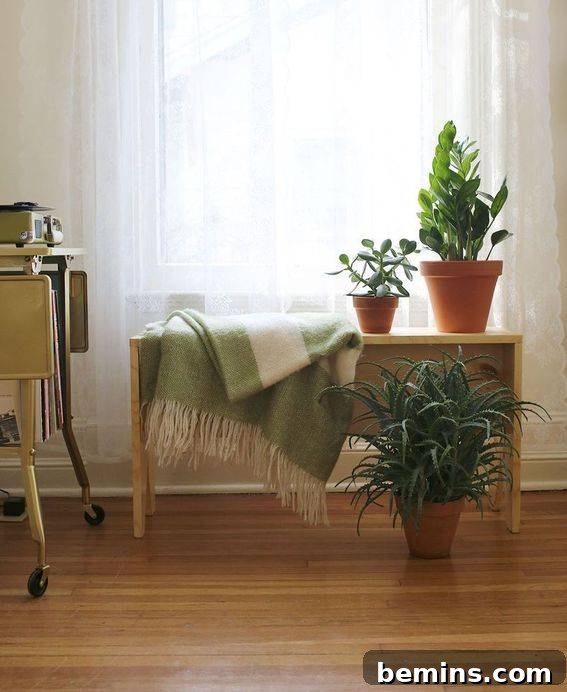 Crafting a Simple Wooden Bench: A DIY Afternoon Project 3 DIY Wooden Bench - Details and Craftsmanship