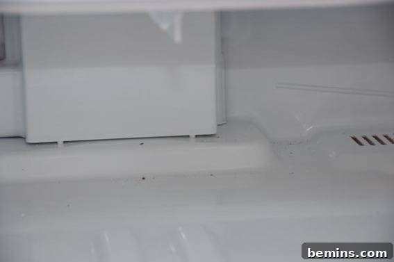 Wiping Down the Refrigerator Interior