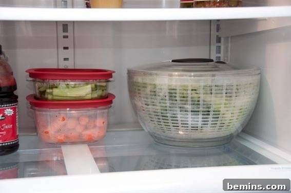 Clear Storage Containers in Refrigerator