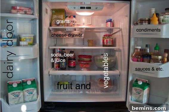 Organized Refrigerator After Cleaning
