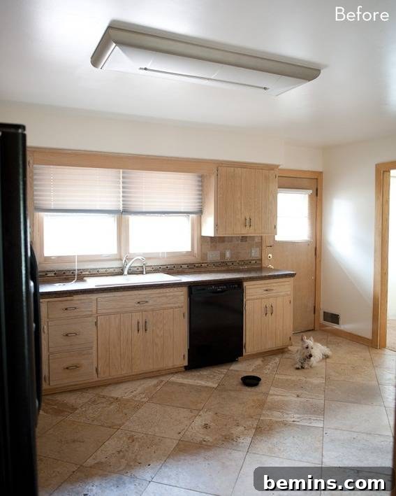 Midwest Kitchen Remodel - Scandinavian Design