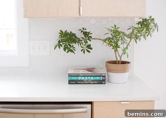 Kitchen Renovation Mishaps - DIY Home Improvement