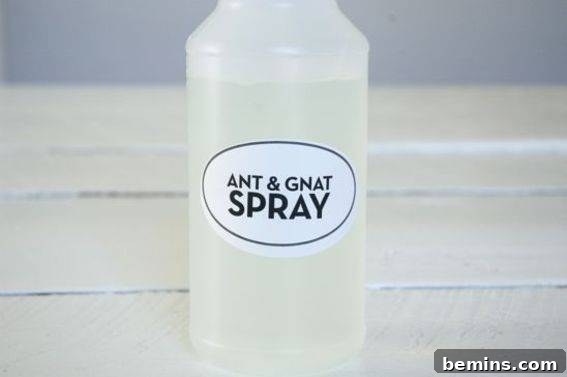 Close-up of a spray bottle filled with homemade ant and gnat remover, ready for use in a garden