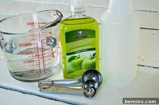 Make Your Own Affordable Natural Garden Pest Control 12 Simple ingredients for ant and gnat remover: a bottle of mild dish soap and water